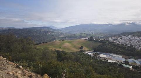 Photo 2 of Flat for sale in Prado del Rey, Cádiz