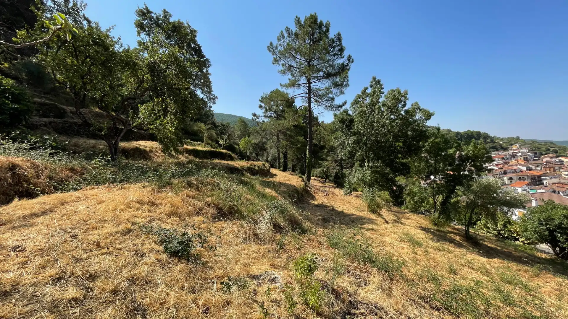 Residential land for sale in Avenida Antonio Machado 14