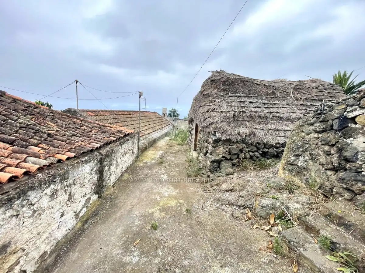Vista exterior de Finca rústica en venta en La Orotava