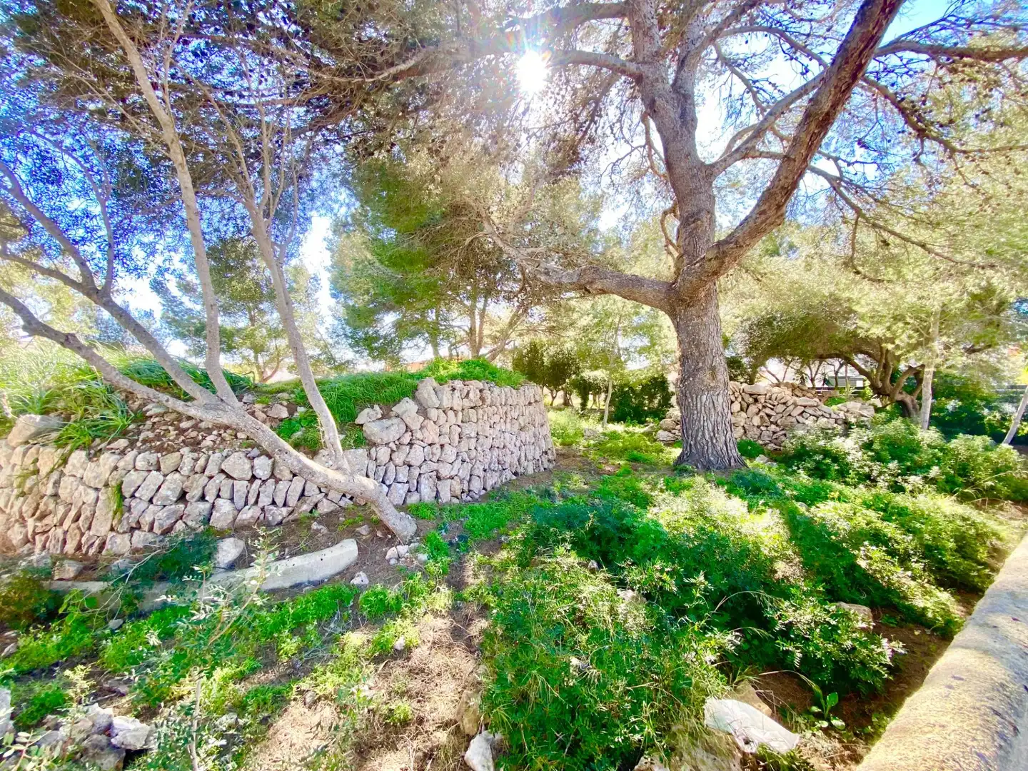 Terrenys i solars en venda a Badia Blava - Badia Gran - Tolleric, imagen 17