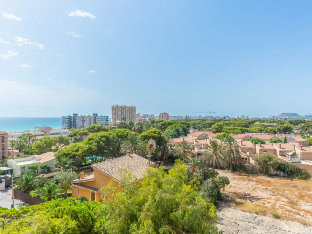 Apartamento con piscina en venta en Calle Magraner, Del, imagen 32