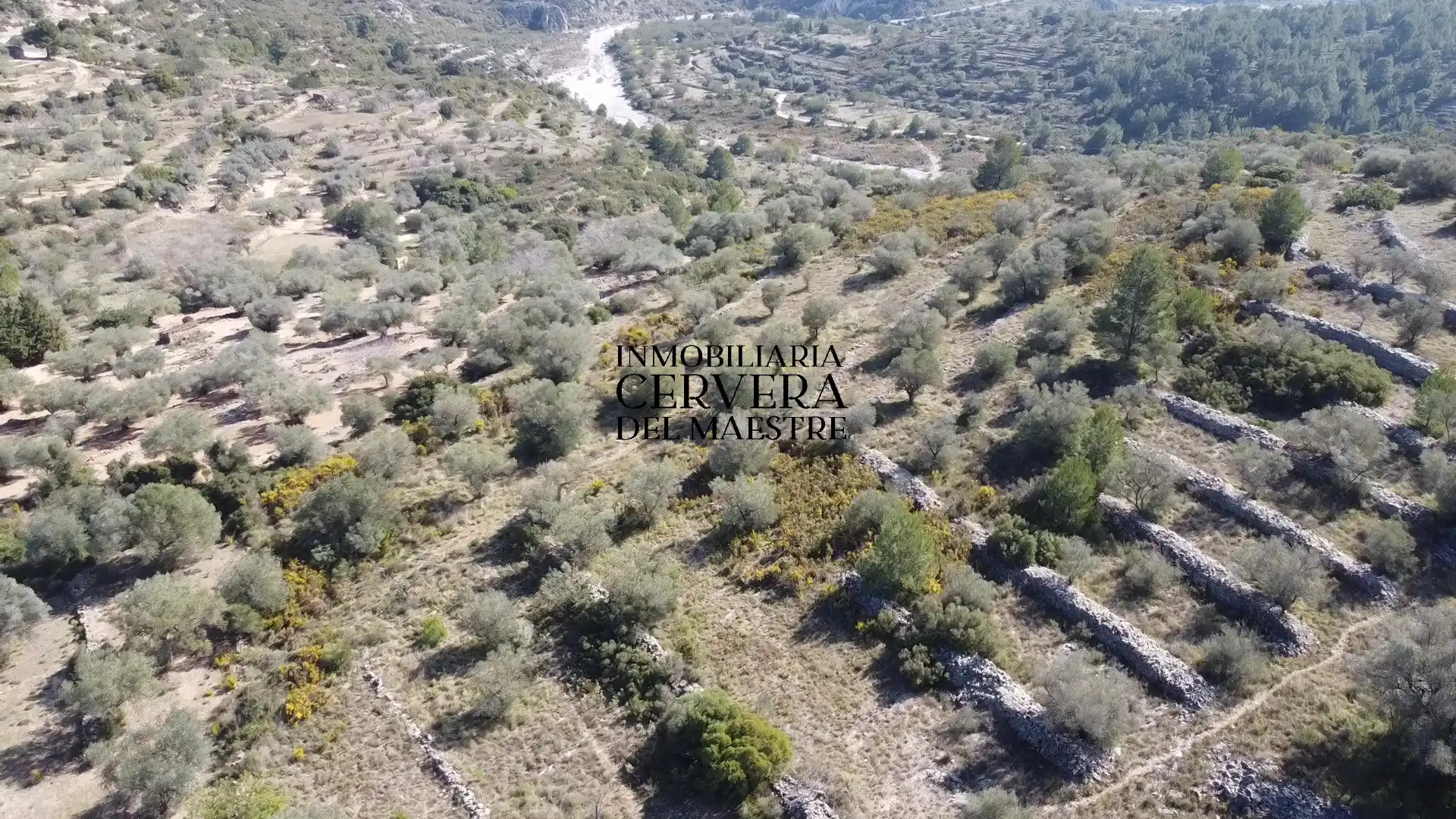 Terreno rustico in vendita a Cervera del Maestre, imagen 5