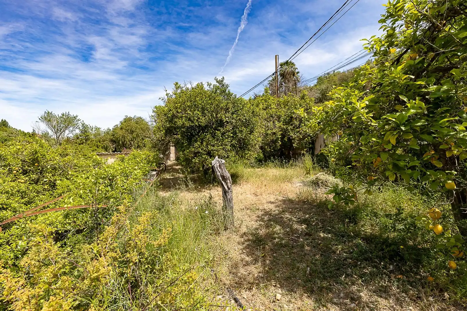 Finca rústica en venda en Sóller amb Terrassa