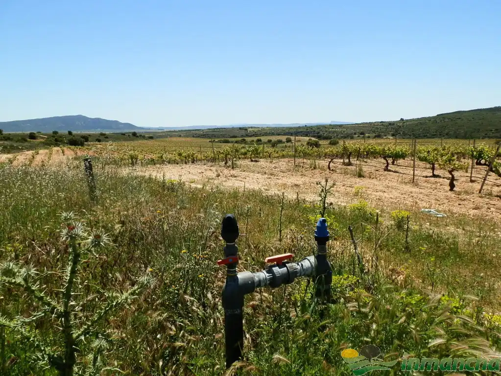 Terreni e lotti in vendita a Almansa, imagen 20