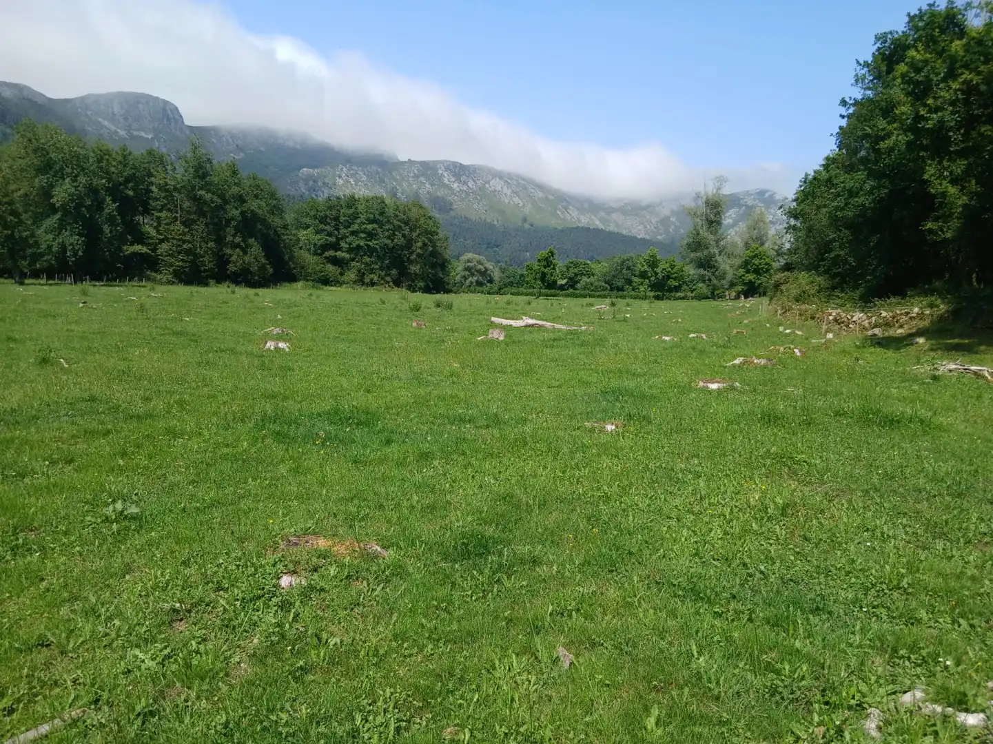 Terreni e lotti in vendita a San Felices de Buelna, imagen 19