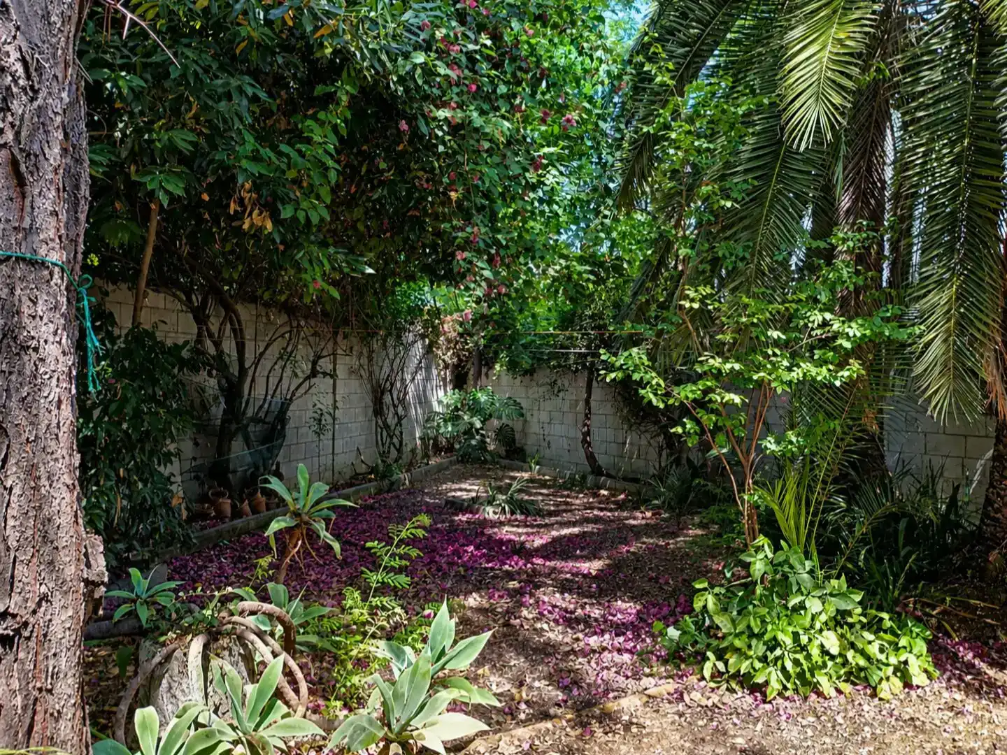 Garden of Flat for sale in Sevilla  with Private garden