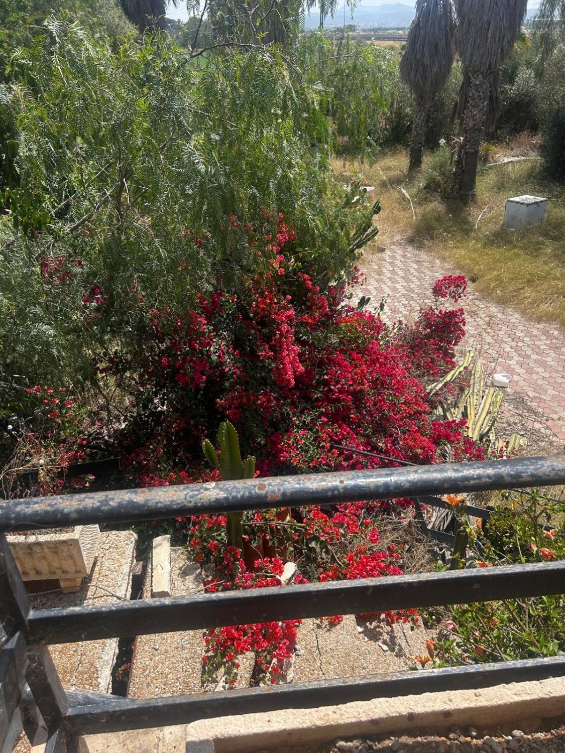 Country house for sale in SON FERRIOL, Son Ferriol, Llevant,  Palma de Mallorca
