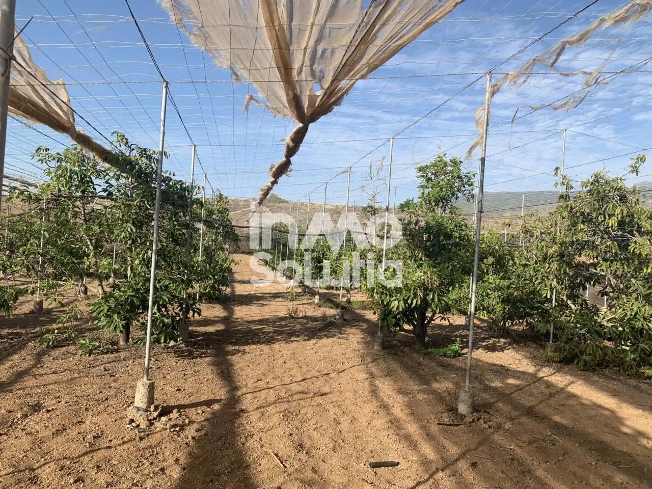 Terreno rustico in vendita a El Capitán, imagen 7