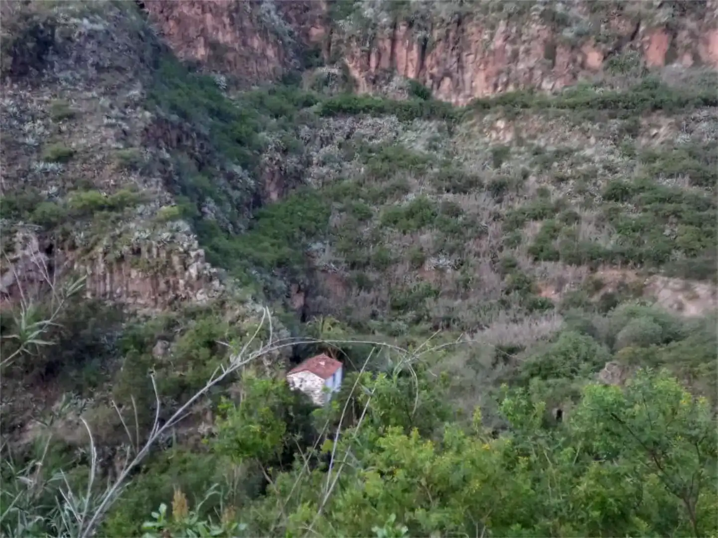 Vista exterior de Finca rústica en venda en Firgas