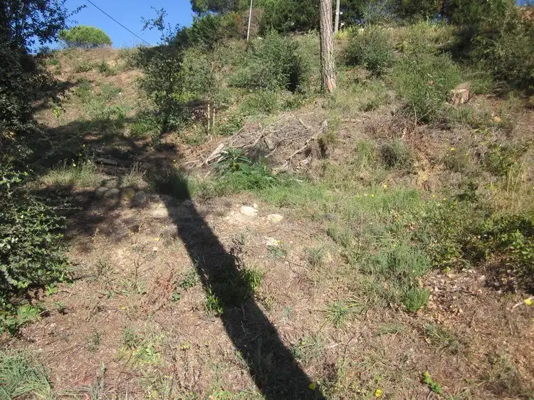 Terreno rústico en venta en Terrafortuna - Puig Ventós, imagen 5