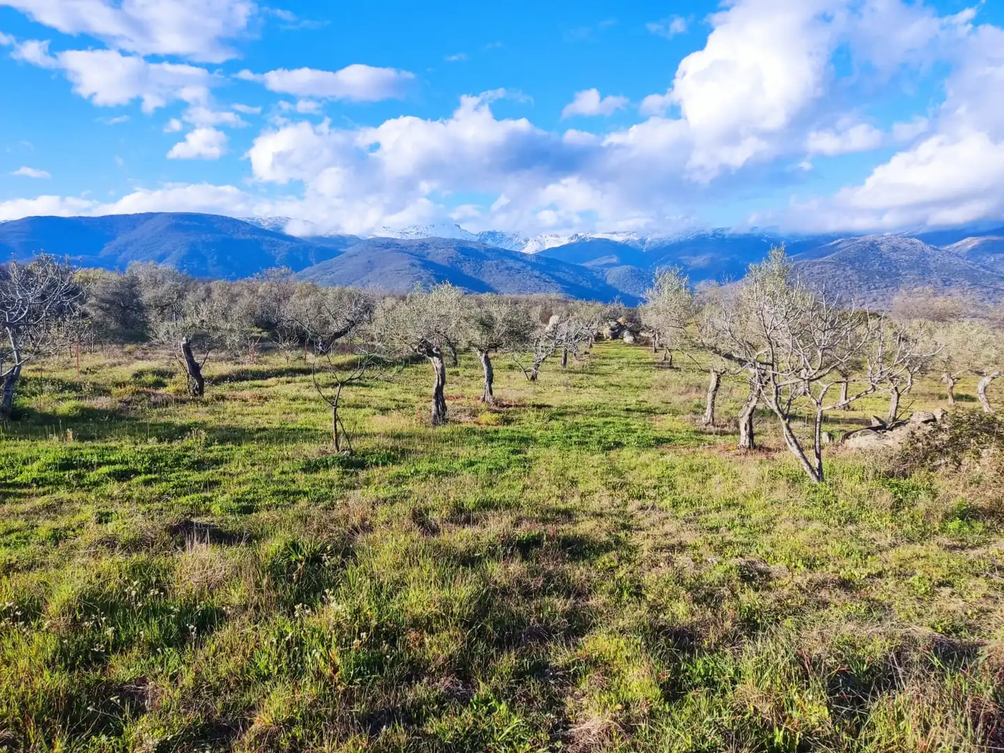 Terreni e lotti in vendita a Navalmoral de la Mata, imagen 4