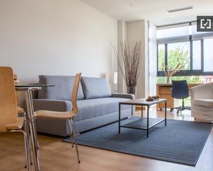 Living room of Flat to rent in  Madrid Capital  with Air Conditioner, Heating and Furnished