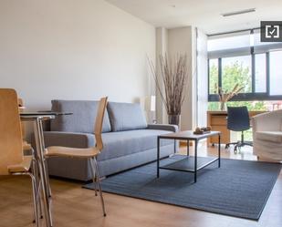 Living room of Flat to rent in  Madrid Capital  with Air Conditioner and Balcony