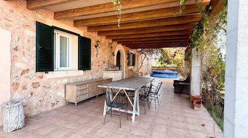 Foto 3 de Finca rústica en venta en Camino del Palmer, 528, Zona Rústica - Interior, Campos