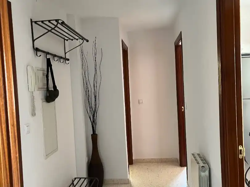 Piso de alquiler en Avda. Federico Garcia Lorca - Nueva Estación Autobuses
