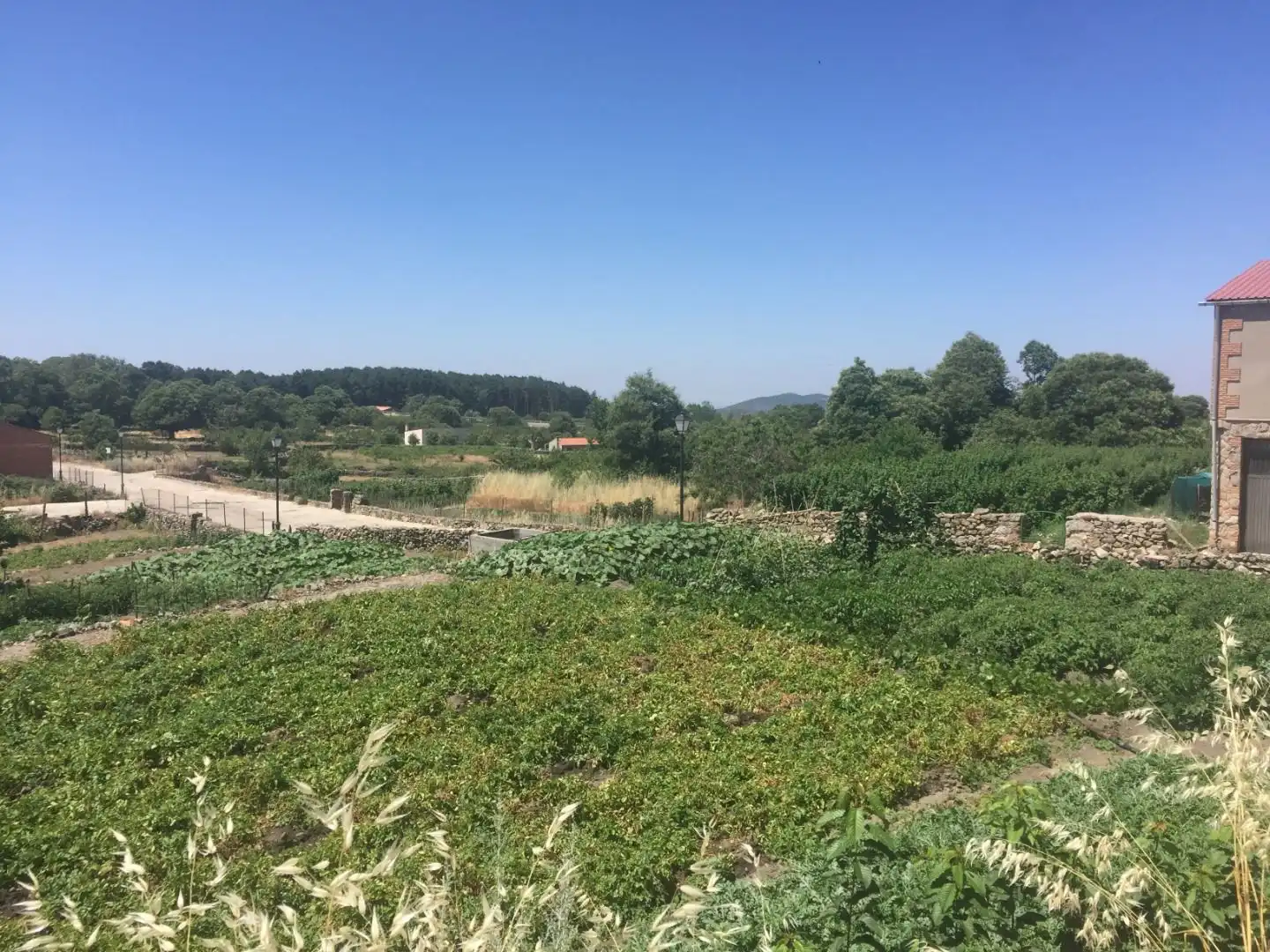 Residencial en venda en Piornal