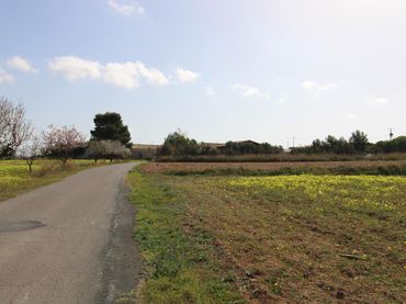 Terreno residenziale in vendita a Oria