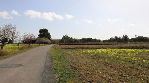 Immagine 1 dell'annuncio