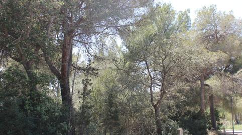 Foto 3 de Residencial en venda a Carrer del Camp Gran, Bacarés - Manresa  - Bonaire, Illes Balears