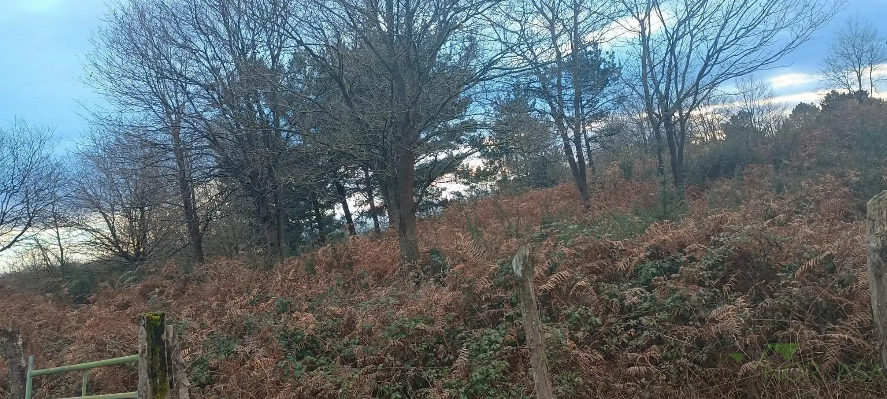 Terrenys i solars en venda a Posada de Llanera, imagen 17
