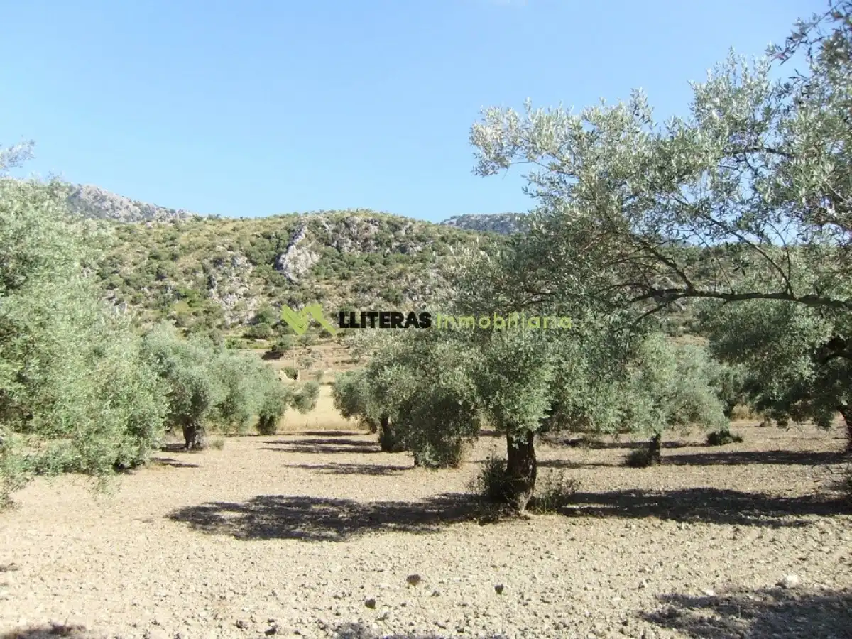 Country house for sale in Bunyola, imagen 10