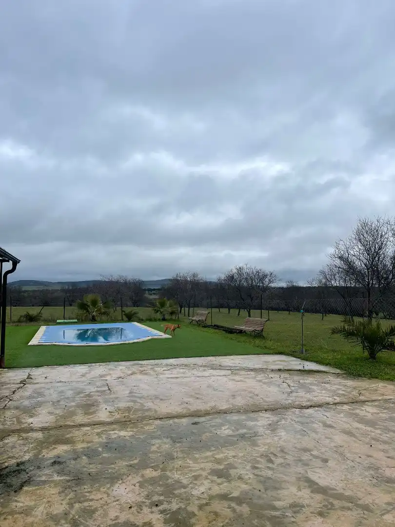 Haus mit Pool zum Verkauf in Carretera Malpartida, imagen 17