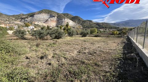 Tu rincón de paz en el Padul  , puede ser esta FINCA DE REGADÍO  donde desconectar, disfrutar de la naturaleza y sentir la tranqui, immagine 3