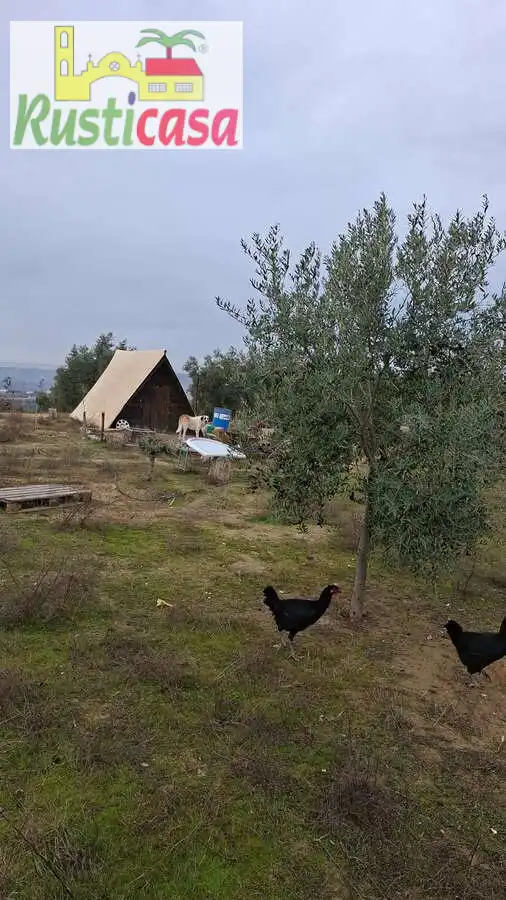 Terreni e lotti in vendita a Sevilleja, imagen 2