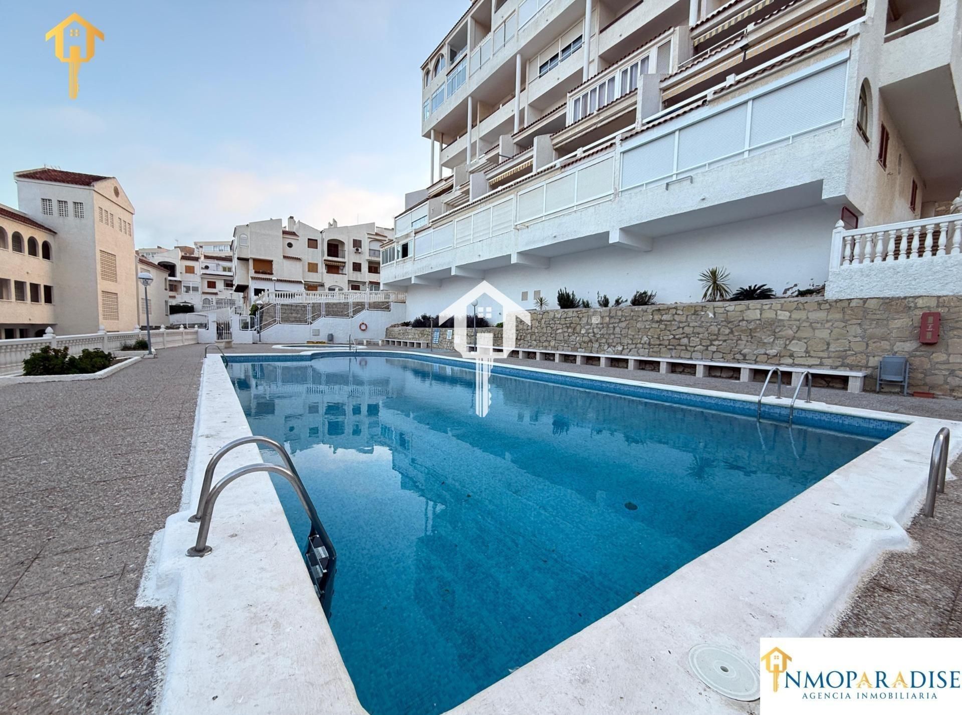 Swimming pool of Single-family semi-detached for sale in Elche / Elx  with Air Conditioner, Terrace and Furnished