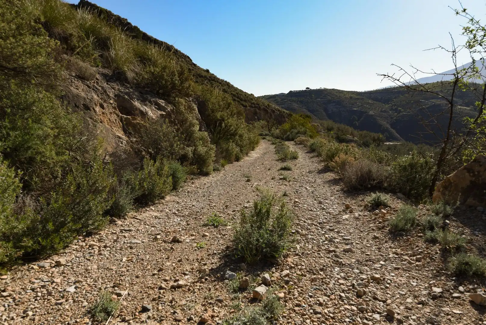 Rustikales Grundstück zum Verkauf in Calle Polígono 12 Paraje 67 HAZA LA CUEVA, imagen 17