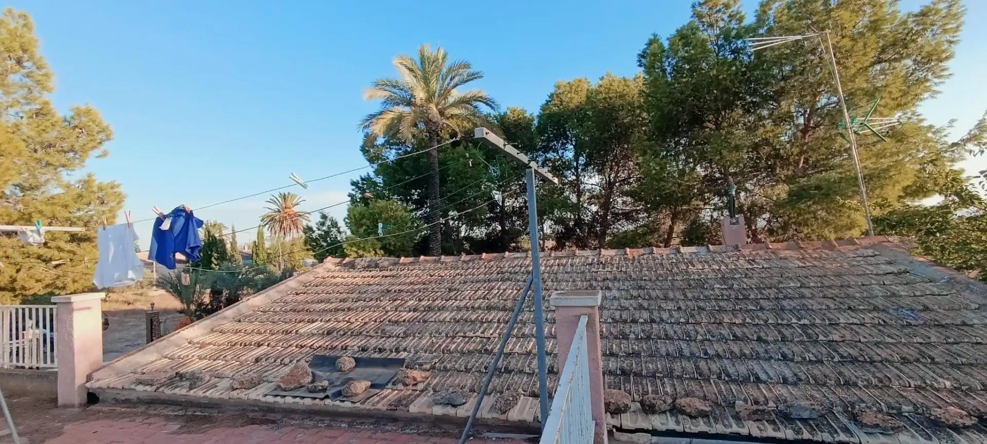 Vista exterior de Casa o xalet en venda en Elche / Elx amb Jardí privat, Terrassa i Traster