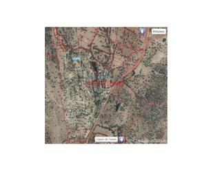 Finca rústica en venda en Belvís de Monroy