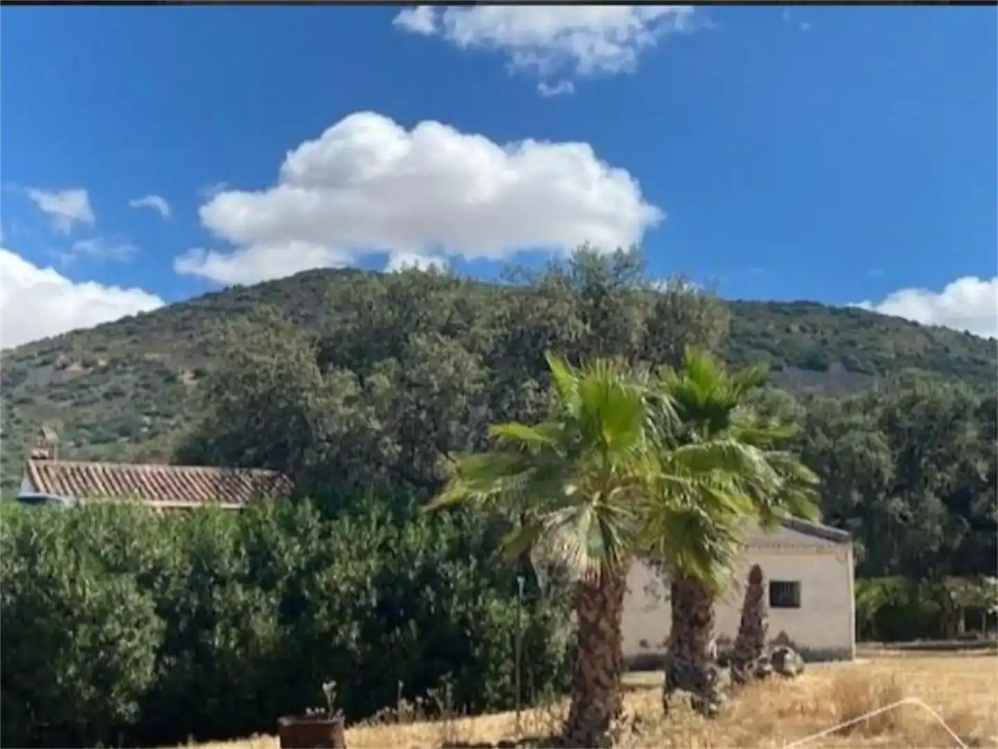 Vista exterior de Finca rústica en venda en Zalamea de la Serena amb Aire condicionat, Jardí privat i Moblat