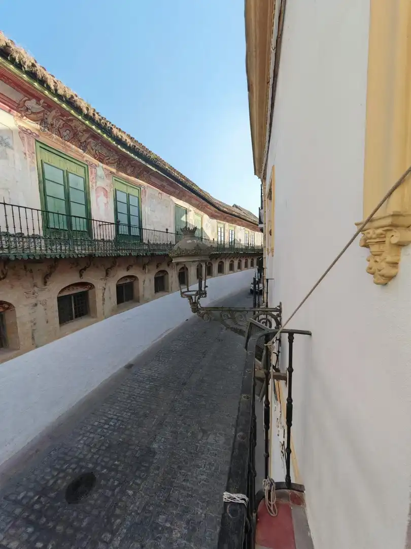 Vista exterior de Casa o chalet en venta en Écija con Terraza y Balcón