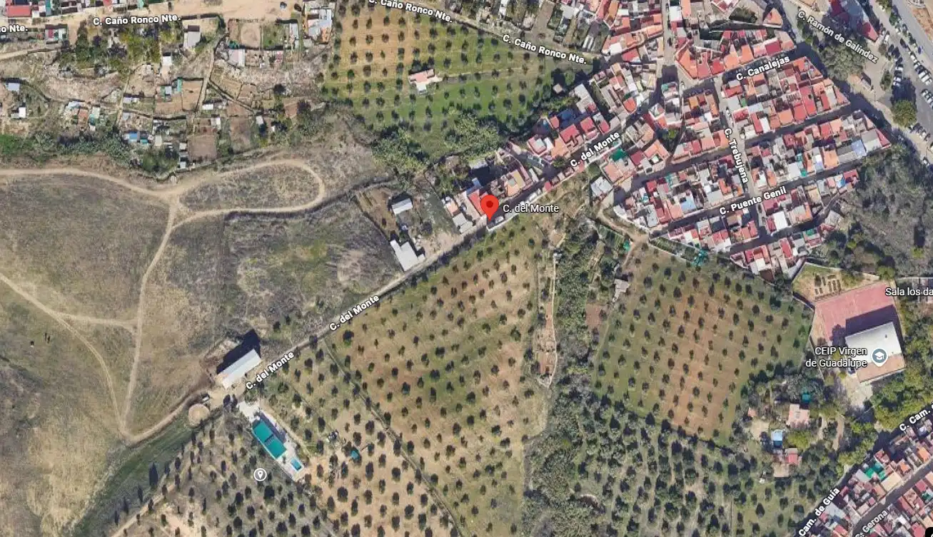 Terreny rústic en venda a Calle del Monte, imagen 3