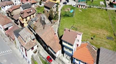 BO PALOMAR DE ABAJO CANGAS DE NARCEA ASTURIAS