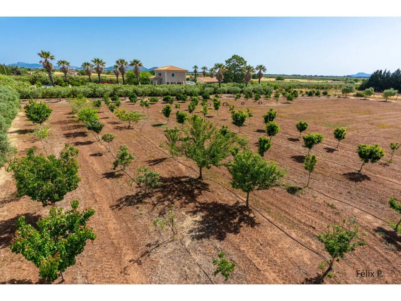 Finca rústica en venda en Muro amb Aire condicionat, Jardí privat i Terrassa