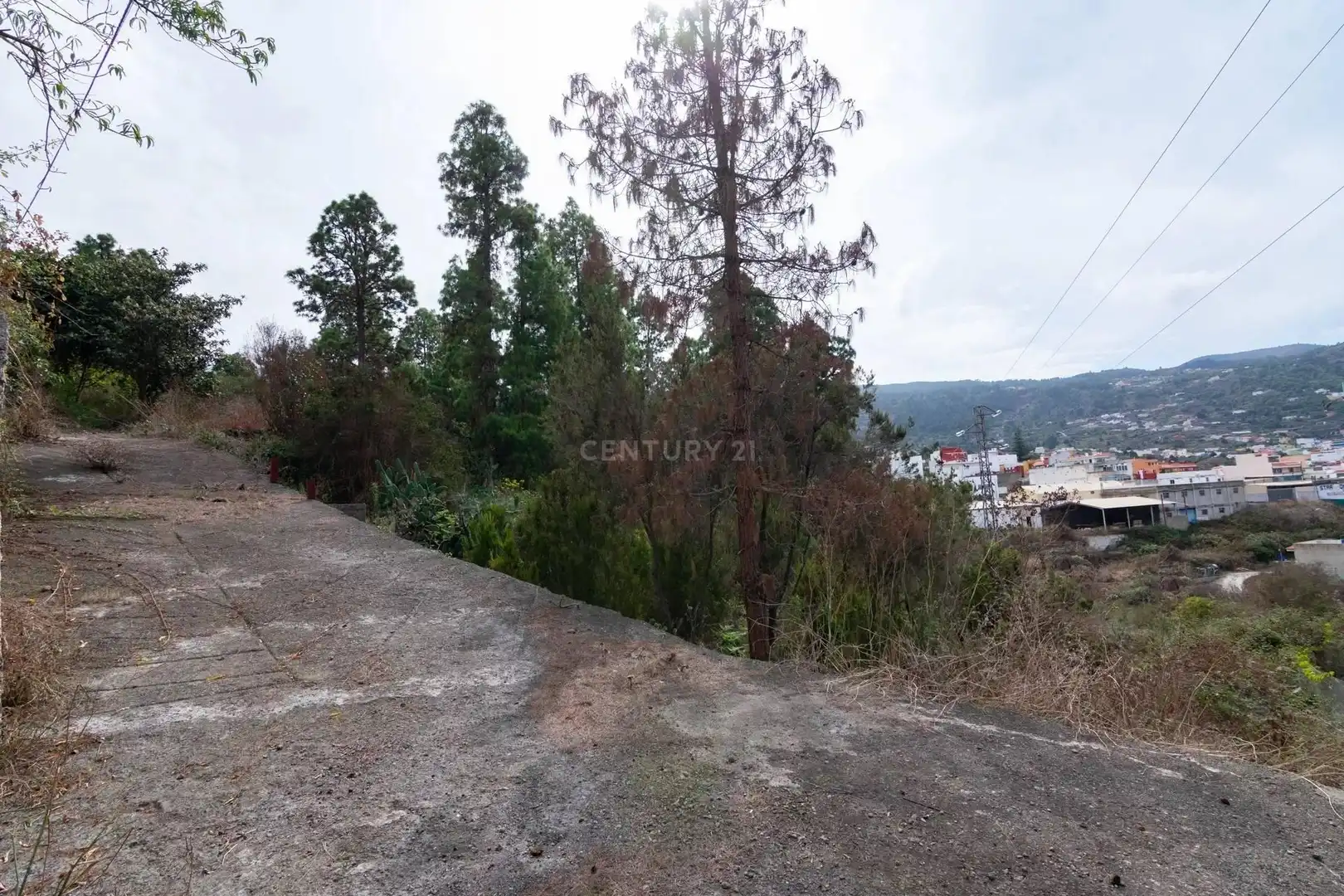 Rural land for sale in Polígono 10 Parcela 99 LAS LAJAS. ICOD DE LOS VIN, imagen 13