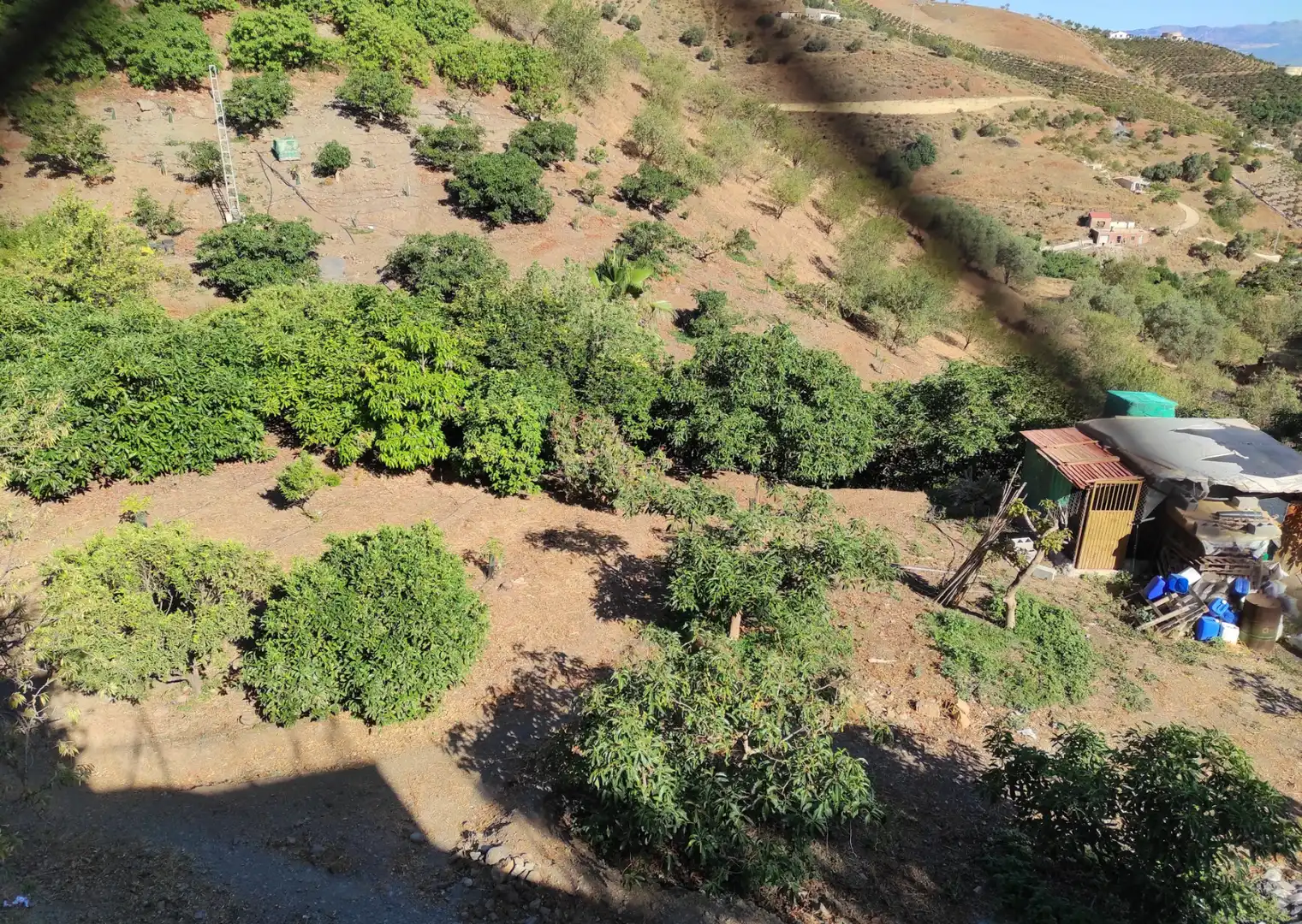 Finca rústica en venda en Canillas de Aceituno amb Jardí privat, Terrassa i Traster