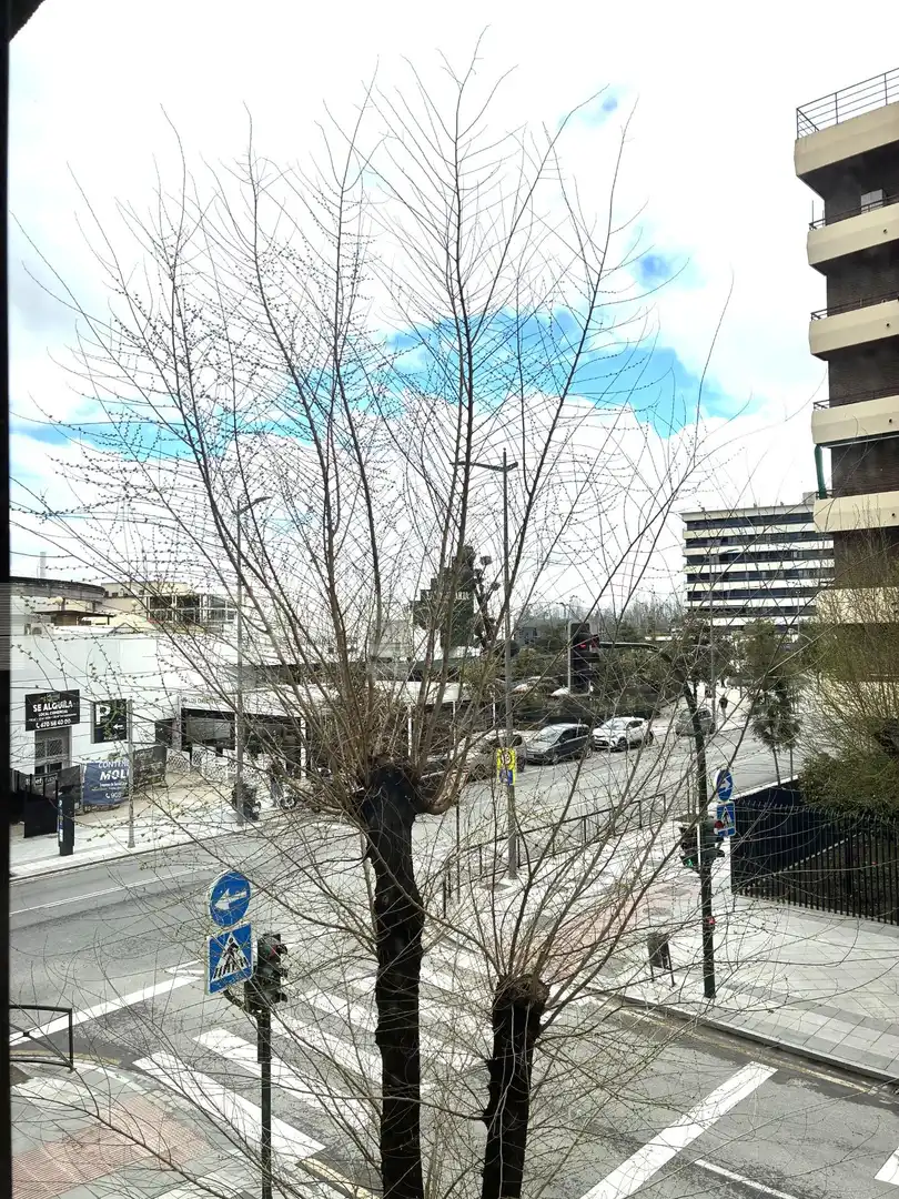 Bureau à louer à Calle Calle Marqués de la Ensenada, imagen 3