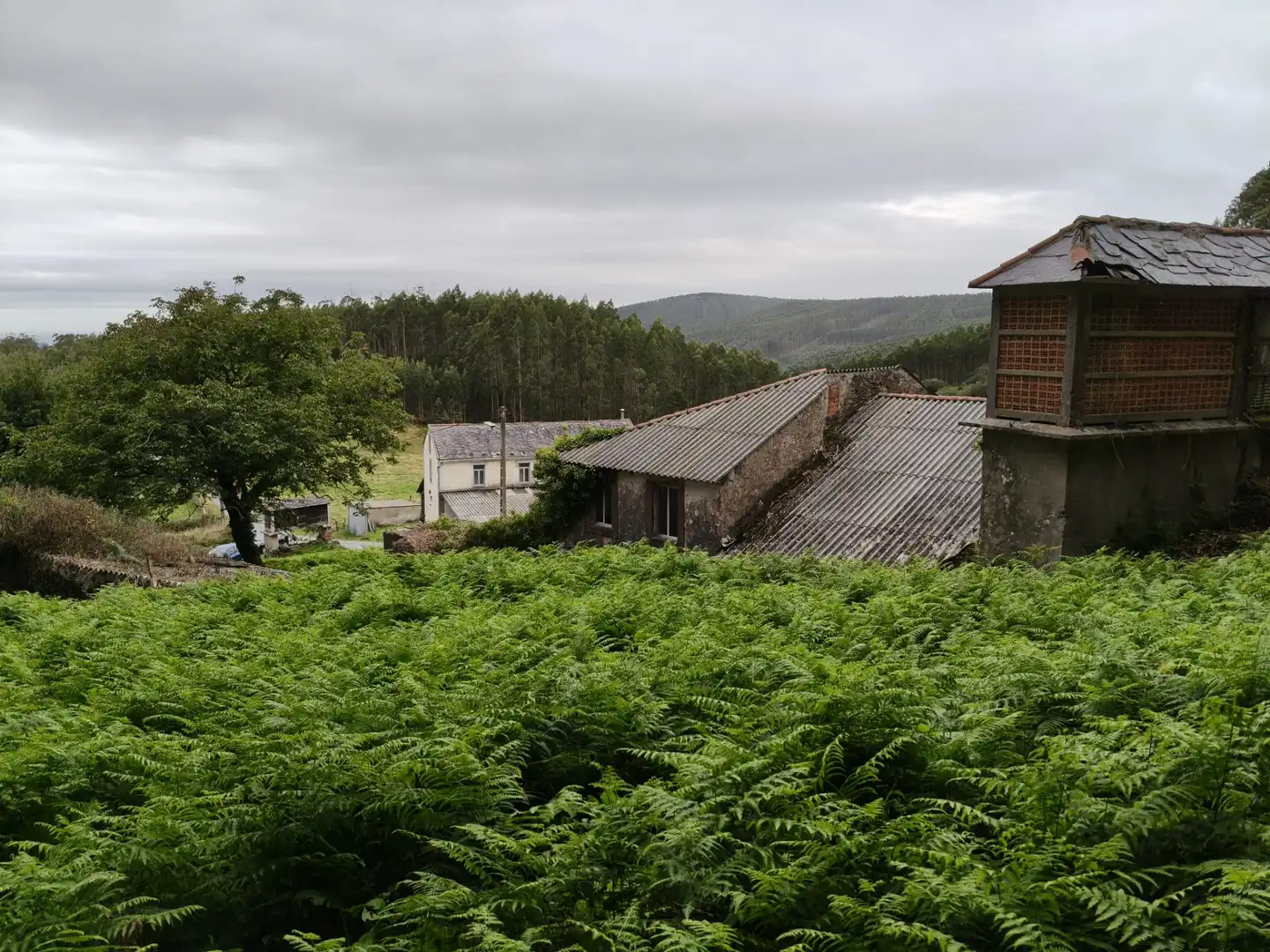 Country house with garden for sale in Cedeira, imagen 36