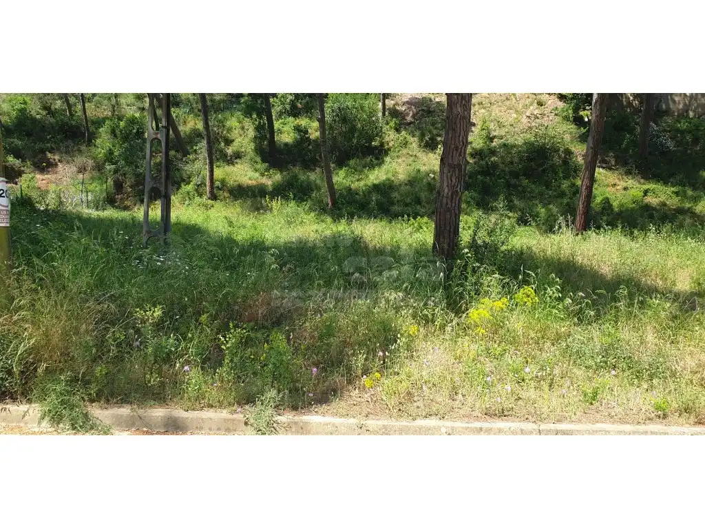 Terrain résidentiel à vendre à Platja de Pals, imagen 5