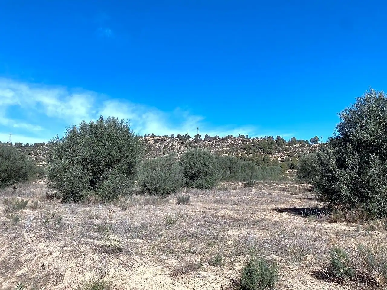 Terrain rustique à vendre à Aixalella, imagen 30