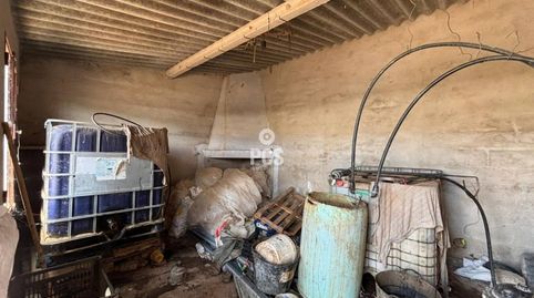Venta de terrenos con parrales en Totana Leer descripcion, imatge 5