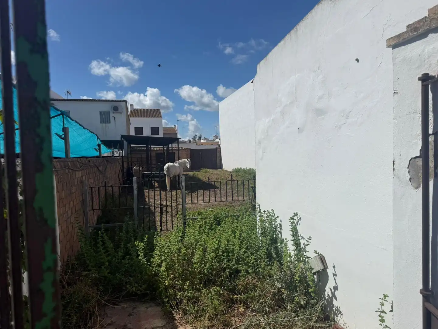 Casa o chalet en venta en Almonte con Jardín privado y Terraza