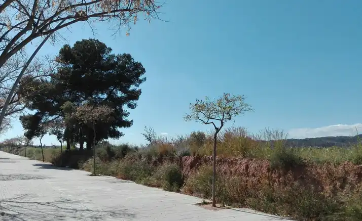 Terreny rústic en venda a PT Bovalar, imagen 9