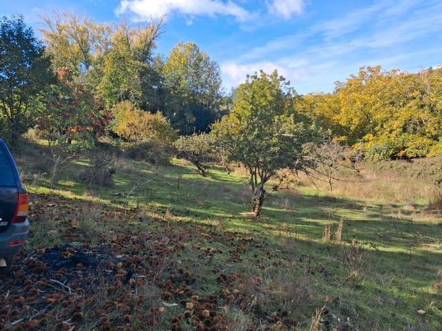 Terreno en Venta en Jabugo