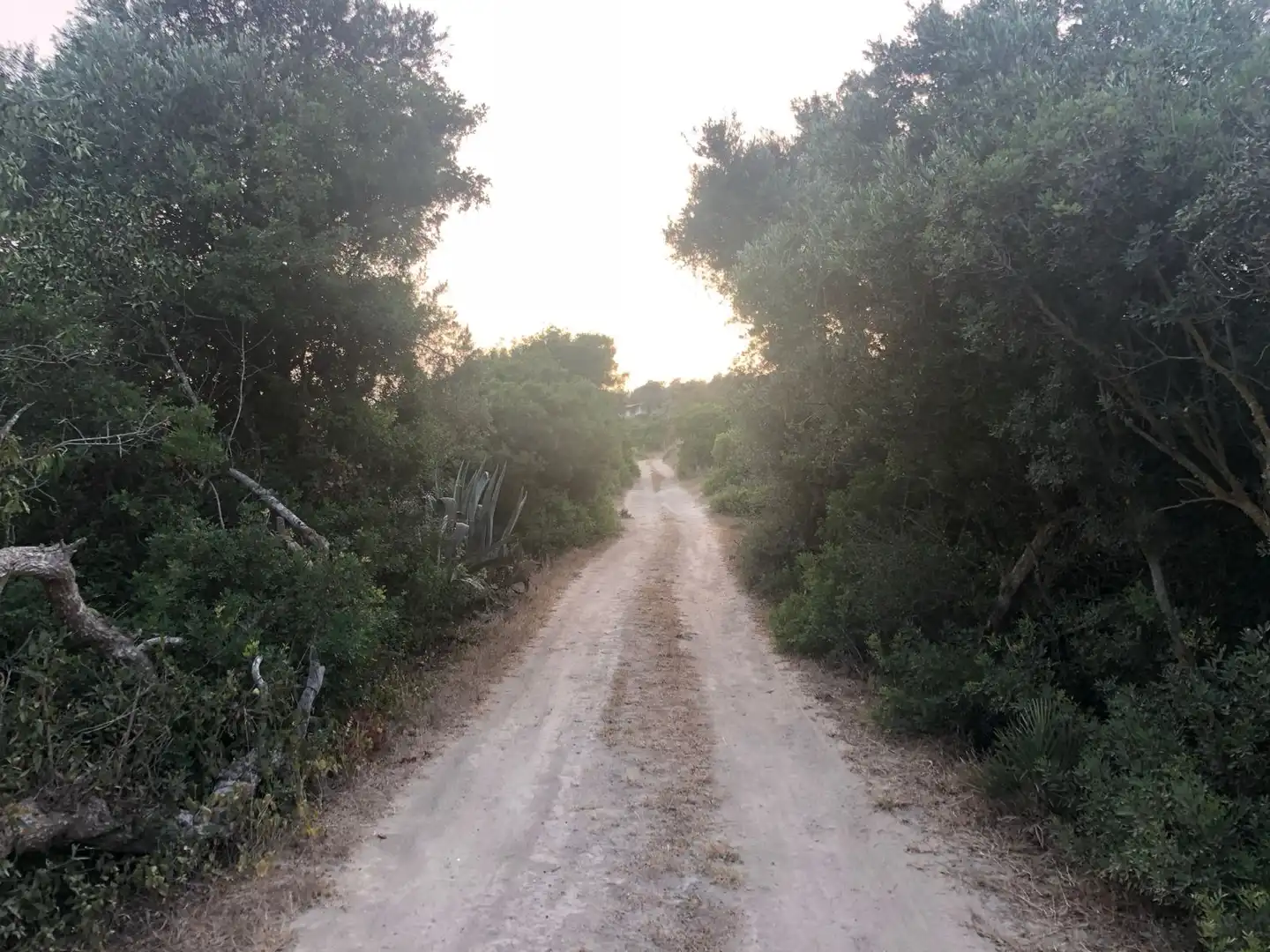 Außenansicht von Residential zum Verkauf in Conil de la Frontera