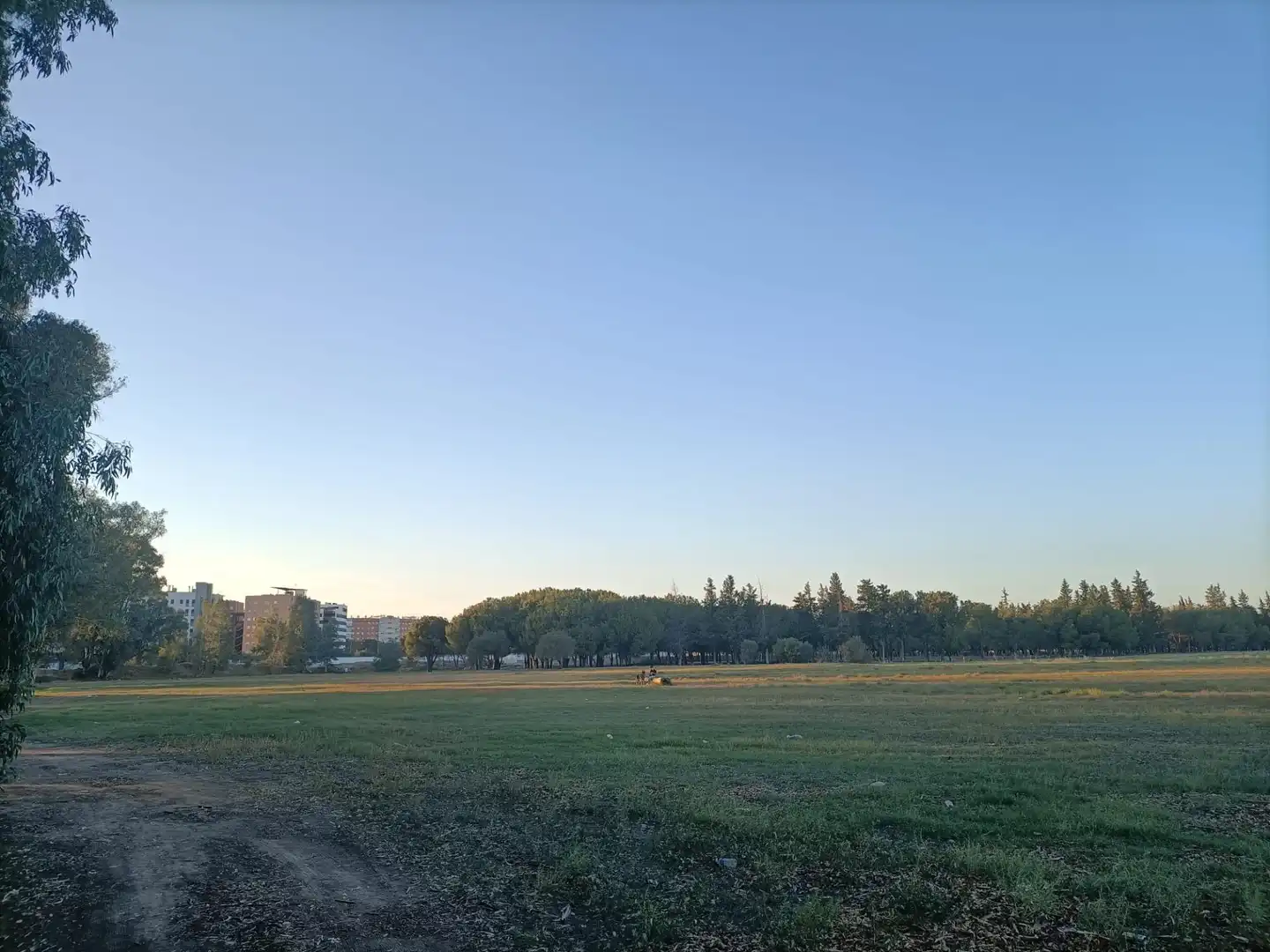 Terreno residenziale in vendita a Este - Alcosa- Torreblanca, imagen 9