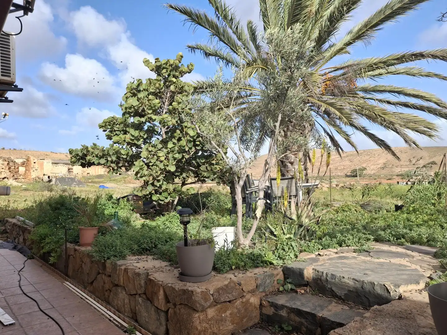 Jardí de Finca rústica en venda en Pájara amb Jardí privat, Terrassa i Traster
